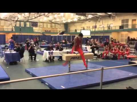 2016 IL State Championship - L9 pommel horse
