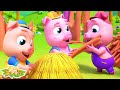 Tre små grisar inlärningsvideo och berättelser för barn