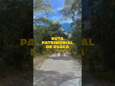 Ruta Patrimonial de Guaca | Descubre la historia de Heliconia, Antioquia