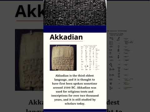 TOP 3 🤓 Oldest languages       ———————————————