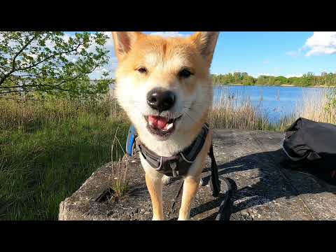 Mit Yoshi on Tour - Rund um die Schurrseen Günzburg