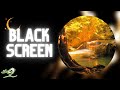 NO ADS Endless Ambient Sleep Music With Black Screen By Peder B Helland