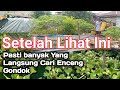 Eceng Gondok Dalam Pembudidayaan Ikan Hias Air Tawar Berfungsi Sebagai