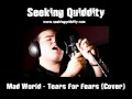 Seeking Quiddity - Mad World (Cover)
