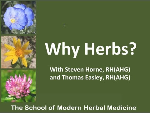 , title : 'Clinical Master Herbalist Interview With Steven Horne - The Herb Guy - The Master Herbalist