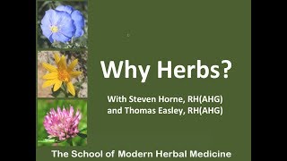 Clinical Master Herbalist Interview With Steven Horne - The Herb Guy