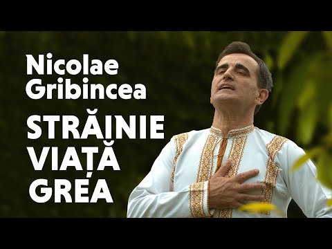 Nicolae Gribincea - Străinie viață grea