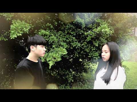 影片集-YouTube影片封面