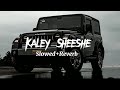 Kaley Sheeshe Slowed Reverb Kaley Sheeshe Lofi Song
