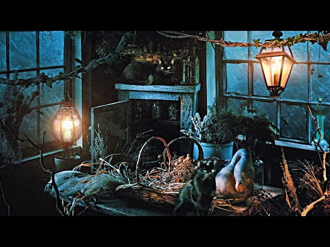 4h Thunderstorm Cabin in the Forest | WitchCore 🌿 Heavy Rain + Cat purring ASMR Ambience [musicless]