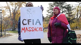 RAW: Patriotic ostrich supporters sing 'O Canada' in protest in Toronto