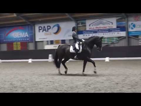 Rasputin grand prix wedstrijd  Nunspeet