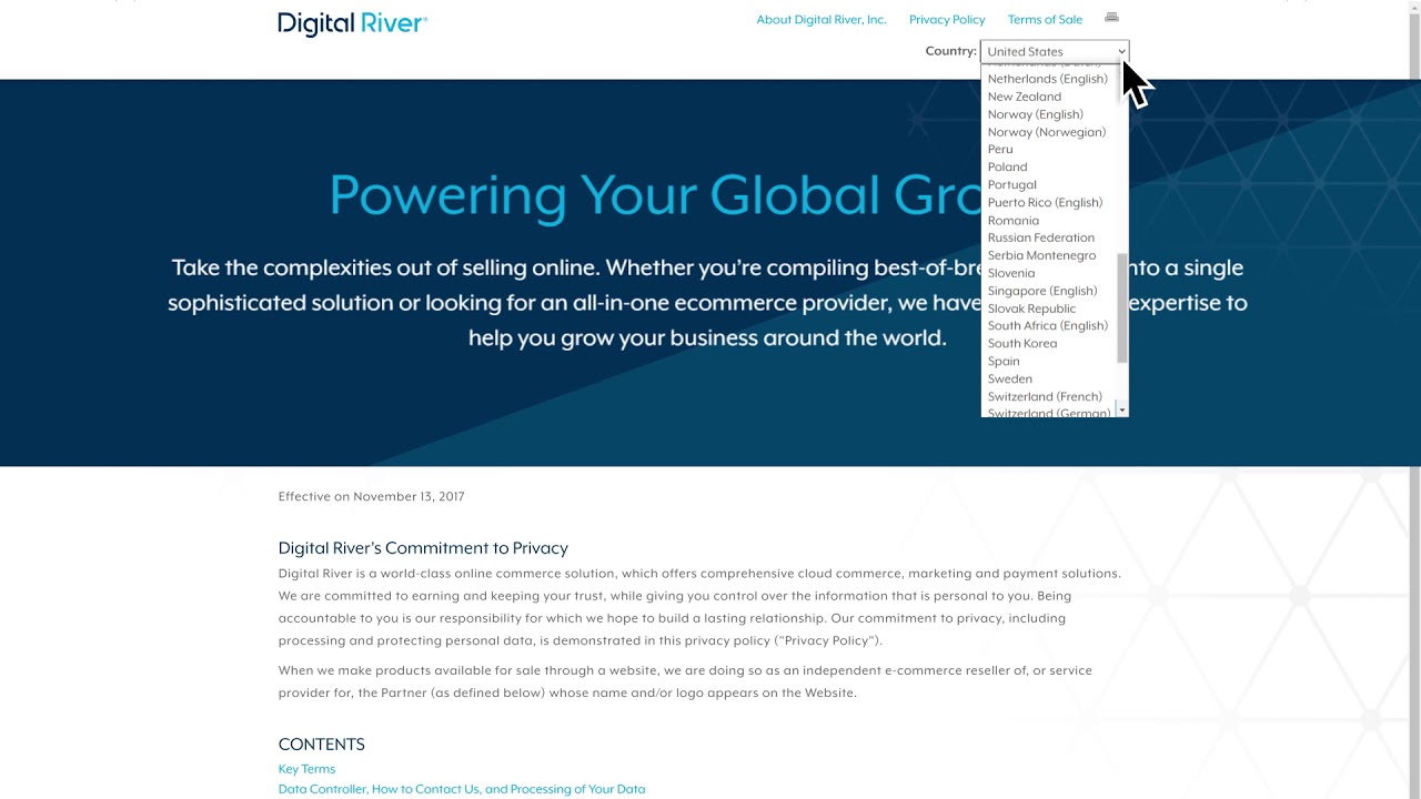Digital River Drop-in Payment Integration