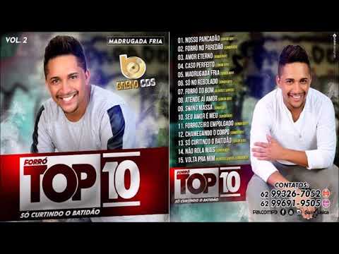 FORRO TOP 10  - SO CURTINDO O BATIDAO