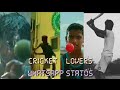 Cricket Lovers Whatsapp Status Part 3 Street Cricket Missing Status Cricket Streetcricket