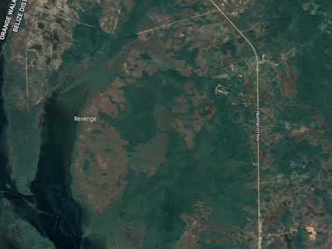 Another Drug Plane Crash Lands in Northern Belize