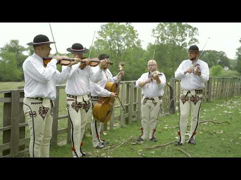 Kapela Hajducy - Hej Stryku - Nuta Ozwodna