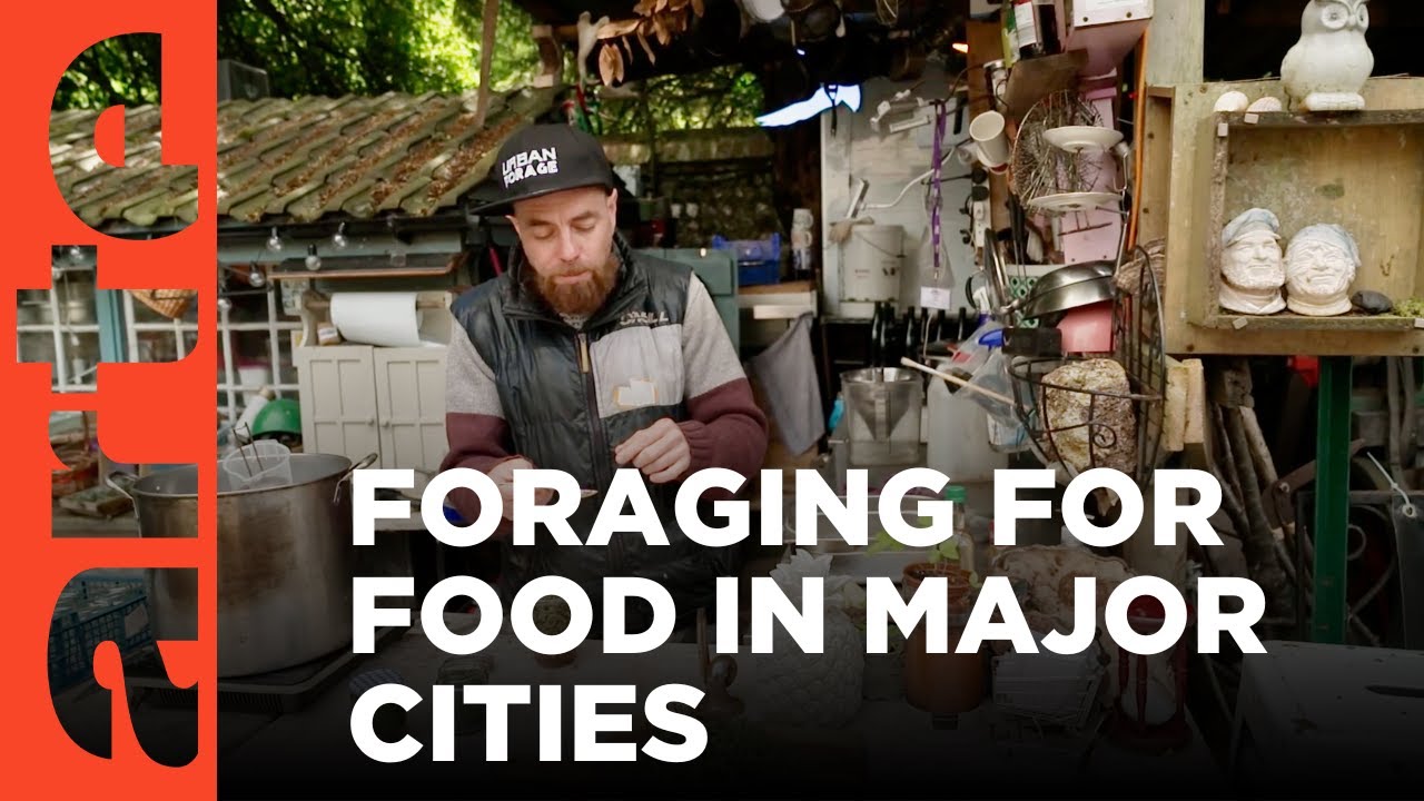 Urban Foraging | ARTE.tv Documentary