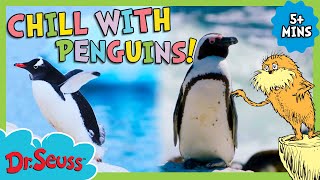 Full Episode: How Do Penguins Protect Their Home | The Lorax Nature Keepers Club | Dr. Seuss