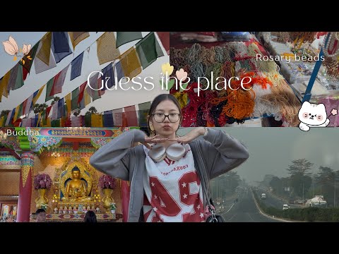 Sudden Trip!!!! | Vlog| Having Fun |