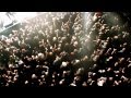 SHINING (NOR): Exit Sun (from Live Blackjazz DVD ...