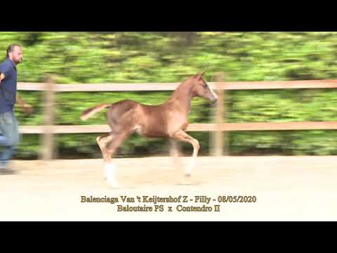 Balenciaga Van 't Keijtershof Z