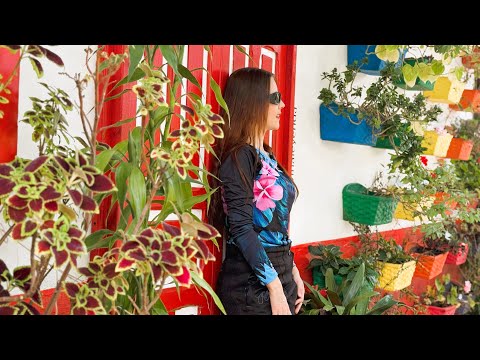 Qué hacer en Gómez Plata Antioquia