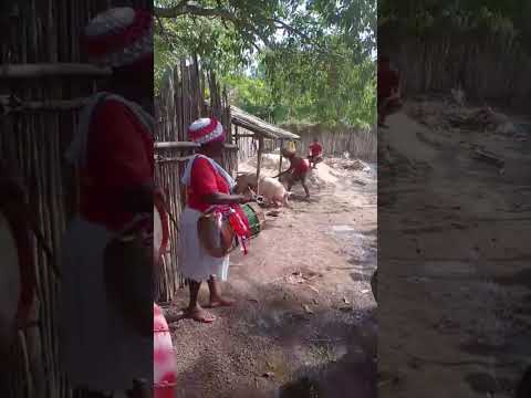 Comunidade Quilombola de Santa Rosa do Barão em Itapecuru Mirim MA