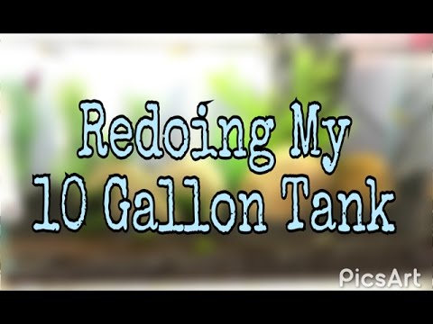 Redoing My Ten Gallon Tank || Blazing Bettas