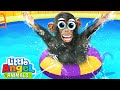 No No Swimming Baby Monkey Fun Animal Sing Along Songs By Little Angel Animals