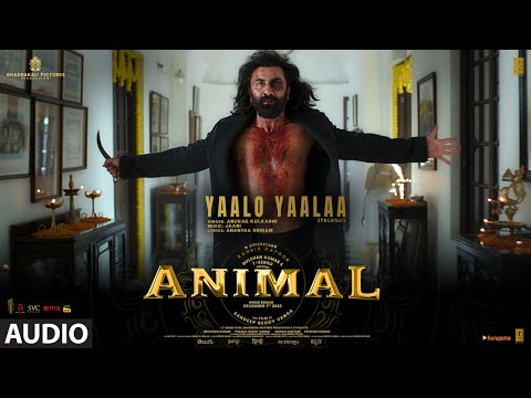 Yaalo Yaalaa Telugu lyrical video song thumbnail from Animal movie featuring emotional visuals