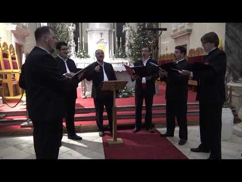 Zdravo zvijezdo mora. oktet Delmati  Solin. ( Cr. Uznesenja BDM Kaštel Lukšiću)