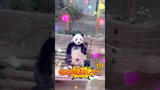 マレーシアの動物園🐯ZooNegaraに行ってみた!🇲🇾