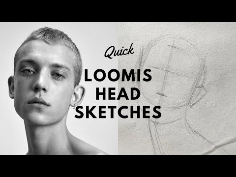 Quick loomis head sketches-basic proportions