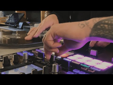 BOLD - Shook (Live Video)