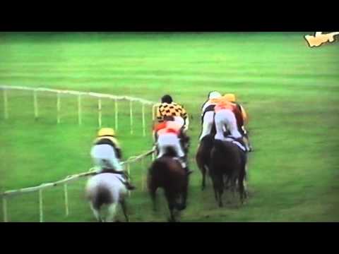 Nagroda Ofira - 21.05.1995 - Kishan (Santhos - Kithara)