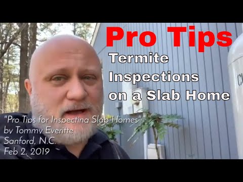 Pro tips for termite inspections on slab homes