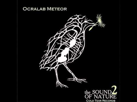 Ocralab__Meteor