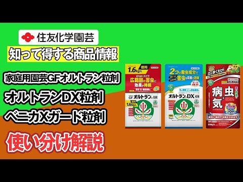 コベライトについて詳しく解説