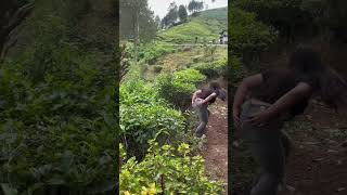 Download lagu Something's weird 🤣 #doyzmv #funny #comedy mp3 Download lagu Something's weird 🤣 #doyzmv #funny #comedy mp3