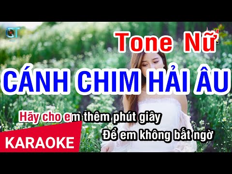 [Karaoke Acoustic ] Cánh Chim Hải Âu - Thanh Goll (Tone Nữ) | Nhan KTV
