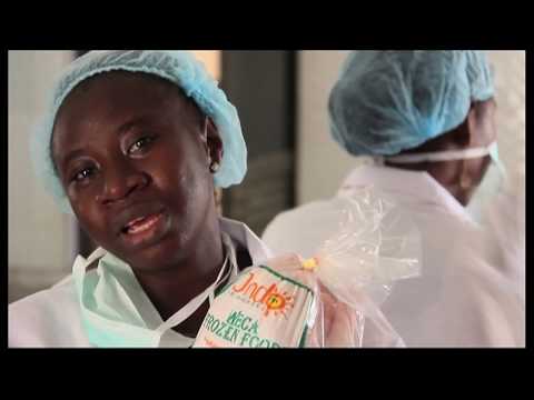 Mimiko Established Chicken Processing Plant in Akure