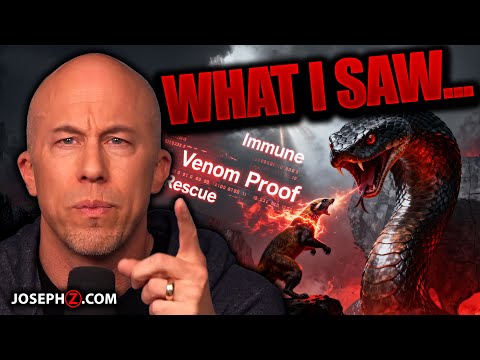 I Saw A MONGOOSE RELEASED at a GIANT VIPER!! -Joseph Z