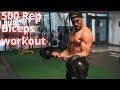 Destroyer - 500 Rep Biceps workout | RS Ep.16