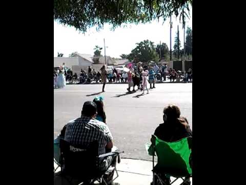 Feria caruthers' cal.