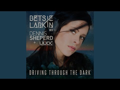 Driving Through the Dark (Dennis Sheperd Club Mix)