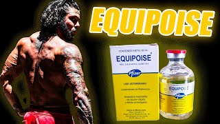 Equipoise (Boldenone) Full Guide: Doses, Benefits, Risks