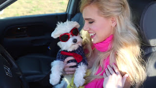 WalkaboutJohn.com | Dog Pouch &quot;Don&#39;t get caught brown-handed!&quot;