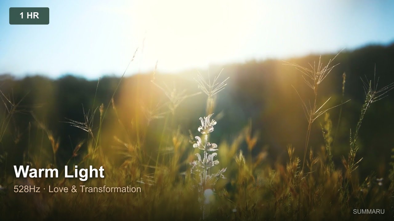 Warm Light | 1 Hour Healing Music | 528Hz Love & Transformation