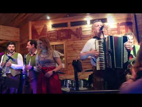 Oberkrainer ALLSTARS (Manfred Gradwohl) - Goldene Heimat